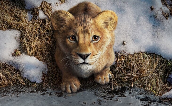 Disney prezentuje pierwszy trailer filmu "Mufasa: Król Lew"