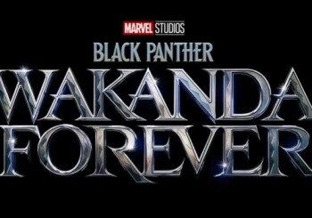 Production of the second part of Black Panther has been suspended