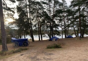 Wiedźmin 2, plan we Frensham Little Pond