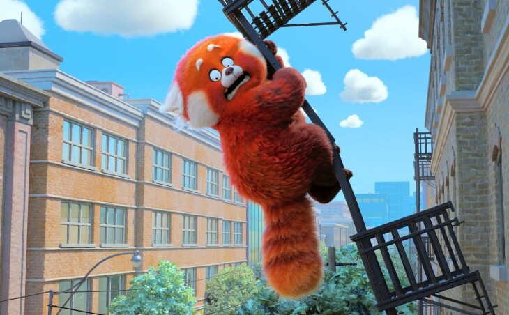 „To nie wypanda” – najnowsza animacja Disneya i Pixara już 10 sierpnia na DVD!