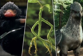 Fantastyczne zwierzęta w Potterversum – zestawienie najciekawszych stworzeń z książek J.K. Rowling