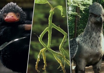 Fantastic Beasts in Potterversum - a compilation of the most interesting creatures from JK Rowling's books