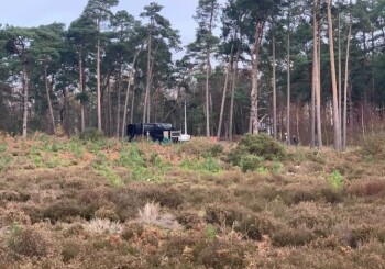 Wiedźmin 2, plan we Frensham Little Pond