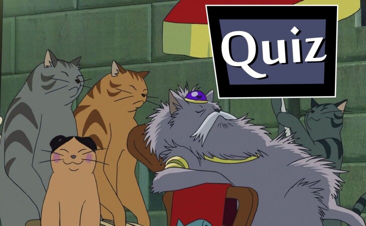 QUIZ: Fantastyczne koty