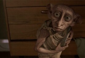 Harry Potter fans leave their socks on Dobby's grave! There is a statement from an environmental organization