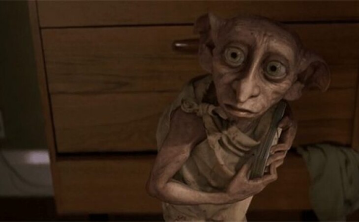 Harry Potter fans leave their socks on Dobby’s grave! There is a statement from an environmental organization