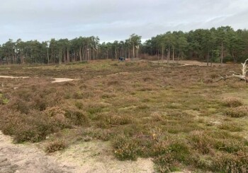 Wiedźmin 2, plan we Frensham Little Pond
