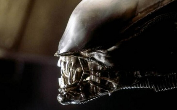 Fede Alvarez Will Make New “Alien” movie!