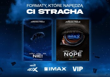 "No", "Kurozając" and "Stupid" this weekend in Cinema City!