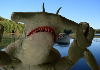 Did "Cocaine Bear" inspire "Cocaine Shark"? Check out the trailer!