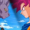 Dragon Ball saga beerus