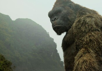 Kong anime series announced