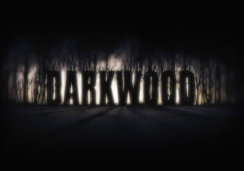 Polacy robią to dobrze! - recenzja gry „Darkwood”