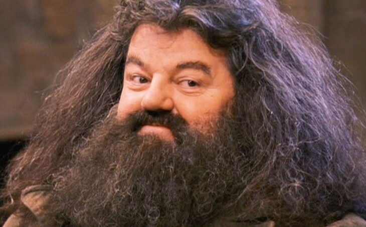 Rubeus Hagrid, Keeper of Keys and Hunter at Hogwarts
