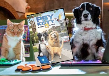 Adventures in the city dialect - a review of the DVD movie "Cats & Dogs 3: Paws Unite"