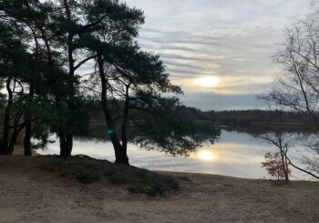 Wiedźmin 2, plan we Frensham Little Pond