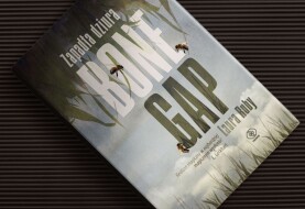 Wśród pszczół i pól kukurydzy swą magię znajdziecie! „Zapadła dziura Bone Gap” – recenzja książki