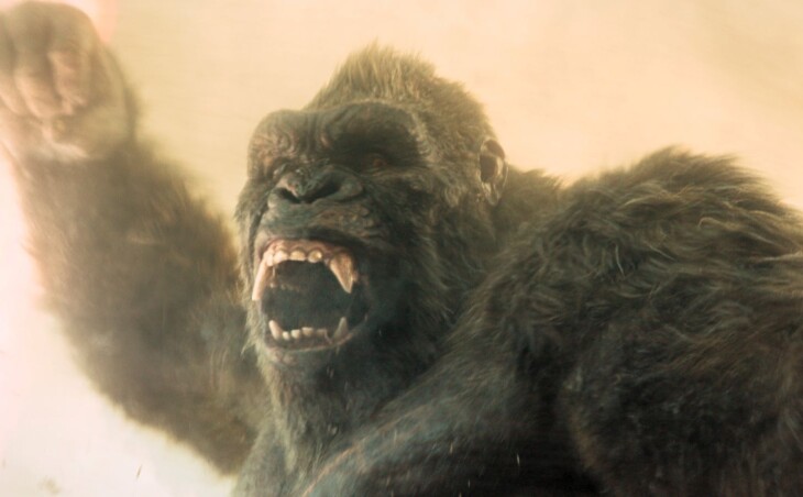 Kong oficjalnie w 2. sezonie „Monarch: Legacy of Monsters”