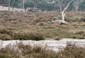 Wiedźmin 2, Frensham Little Pond