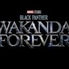 News on “Black Panther: Wakanda in My Heart”