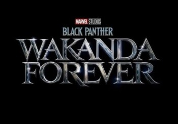 However, the Disney + series about Black Panther will not be created
