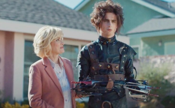 Timothée Chalamet jako Edgar, syn Edwarda Nożycorękiego.
