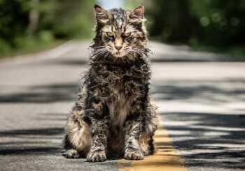 We met new cast members of the prequel to "Pet Sematary"