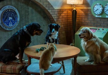 Cats and Dogs 3: Paw in the Paw is now on DVD!