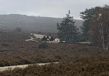 Wiedźmin 2, plan we Frensham Little Pond