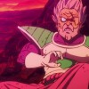 Dragon Ball Paragus