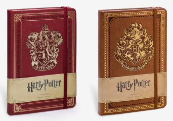 Zapowiedź pozycji „Harry Potter. Hogwart” i „Harry Potter. Gryffindor”