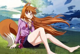 The announcement of new "Spice and Wolf" season
