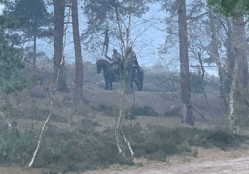 Wiedźmin 2, plan we Frensham Little Pond
