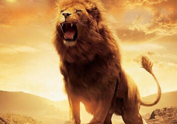Zdjęcia do "Opowieści z Narnii" już w 2024 roku!