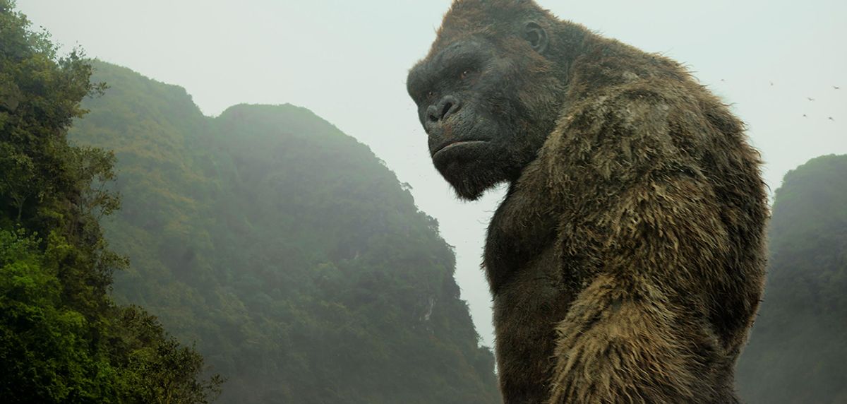 Kong anime series announced