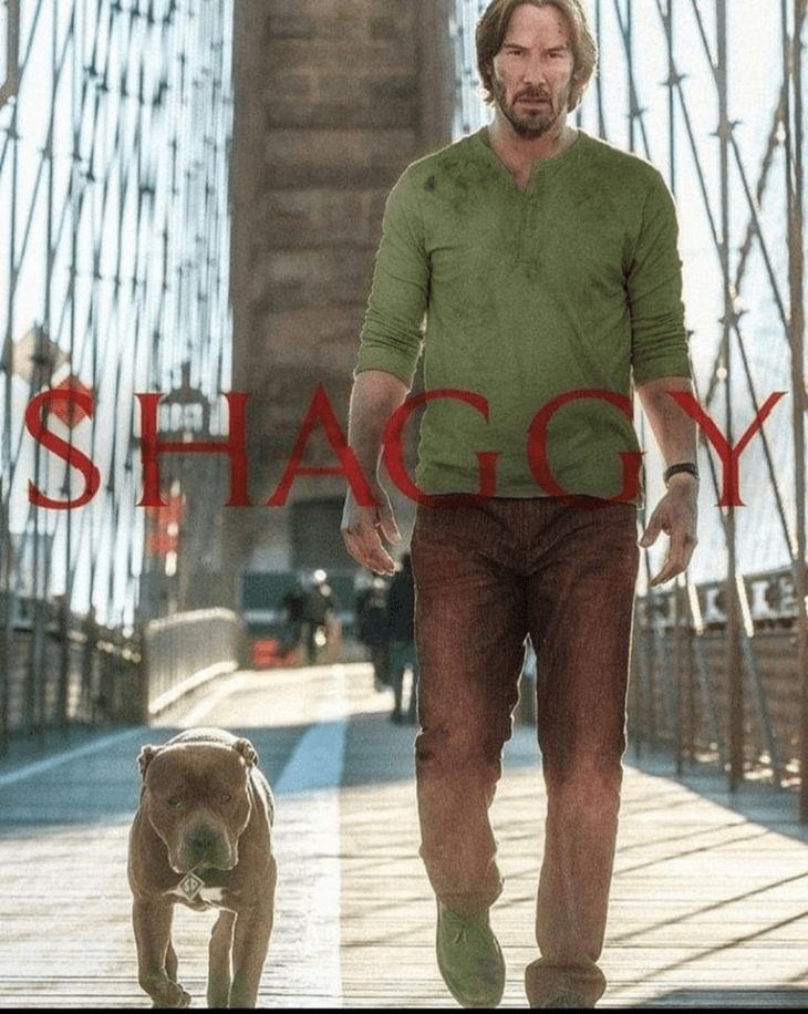 Shaggy John Wick