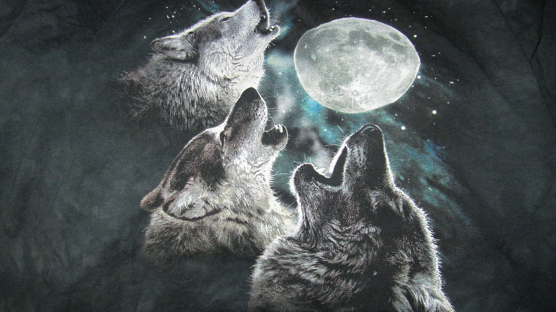 wolfiemoonie