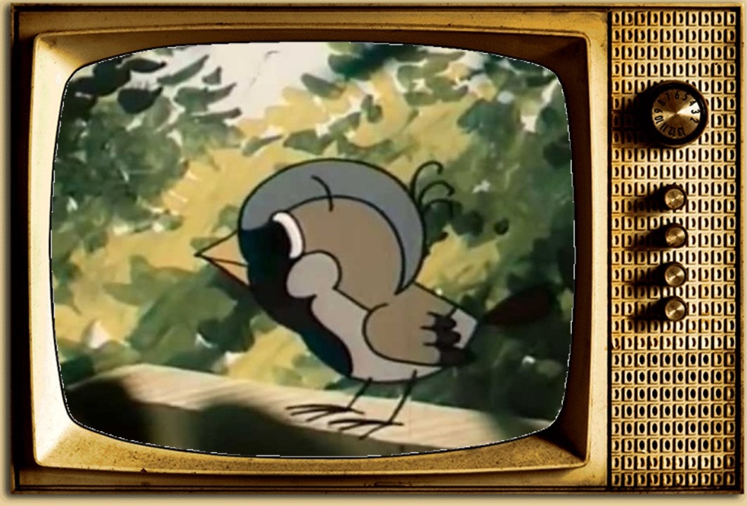 Slajd4