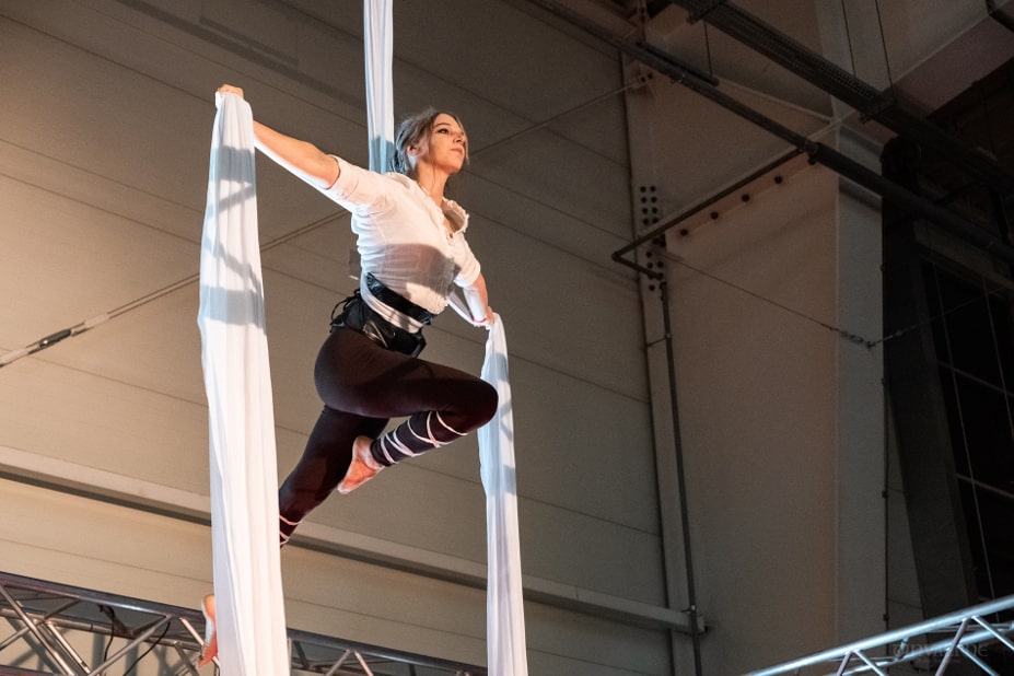falkon 2019 galeria