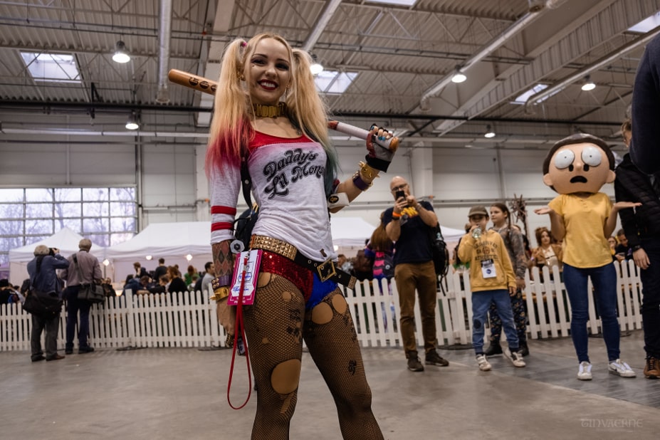 falkon 2019 galeria