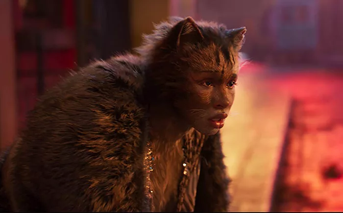 cats