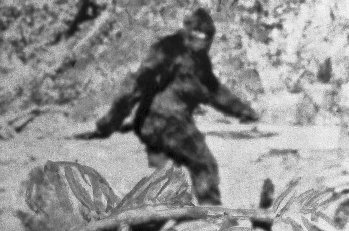 Yeti