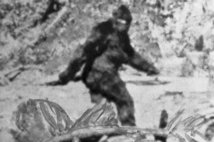 Yeti