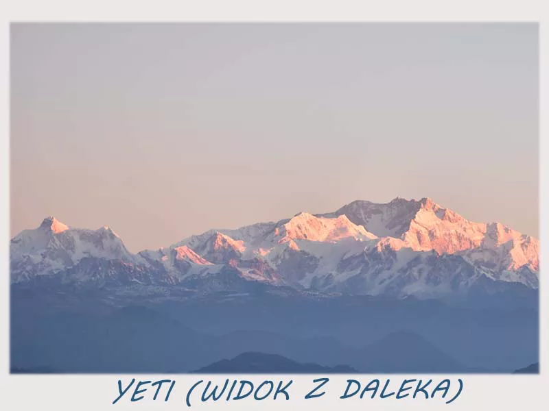 yeti