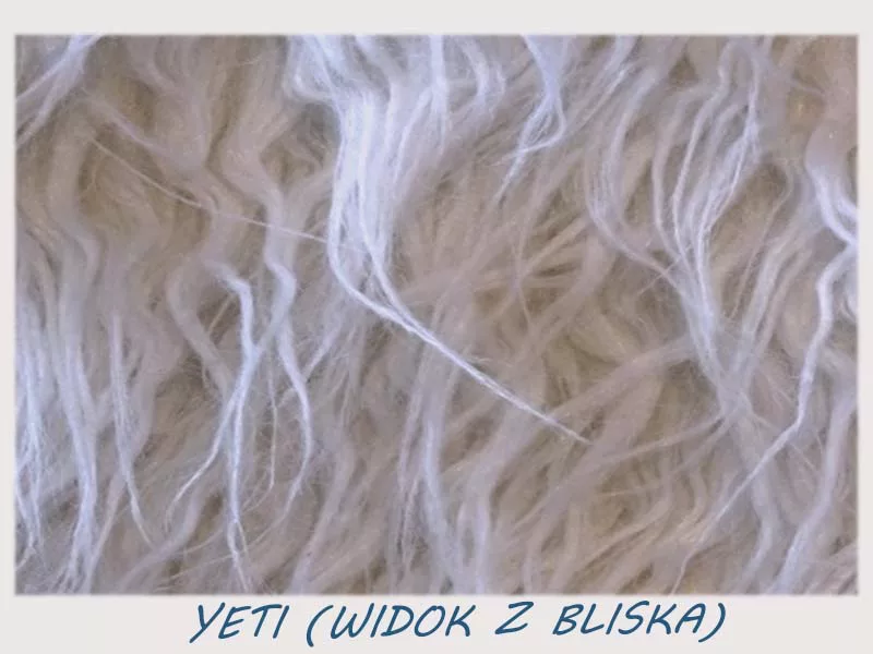yeti2