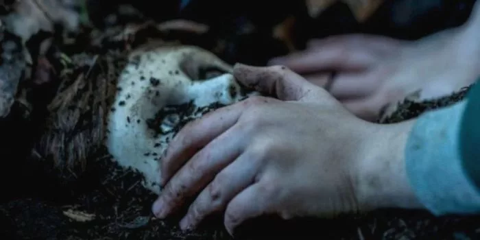 Brahms-The-Boy-2