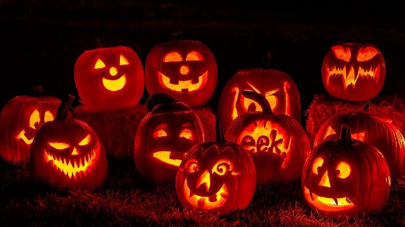 Dynie Halloween