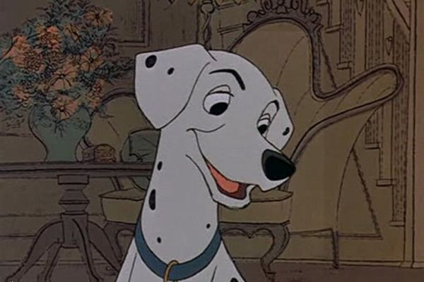 Perdita