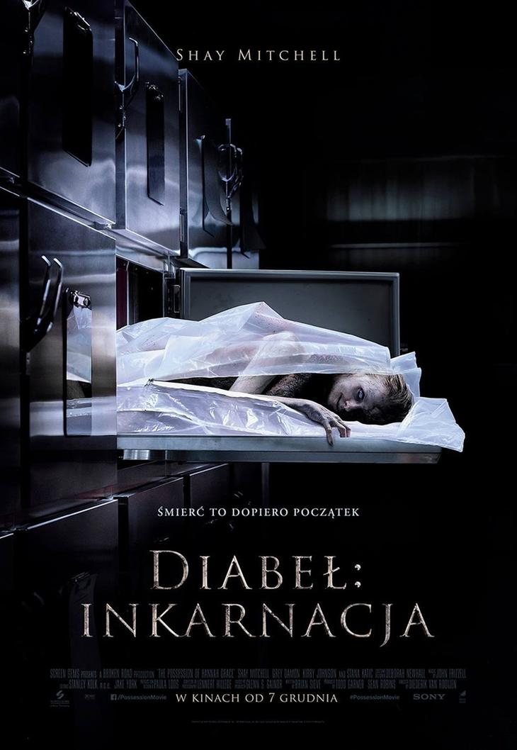Diabeł: Inkarnacja Diederik Van Rooijen – plakat filmu