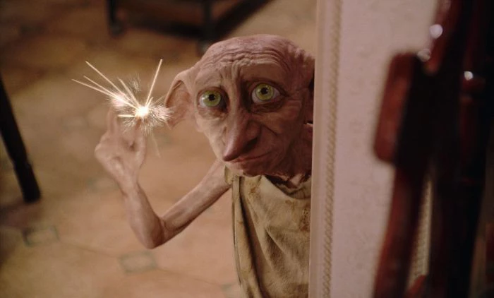 zgredek-potter